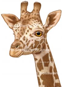giraffe-art