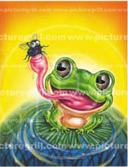 artist of frog illustration
