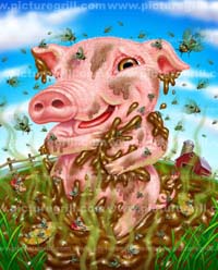 illustrator pig art and illustrations