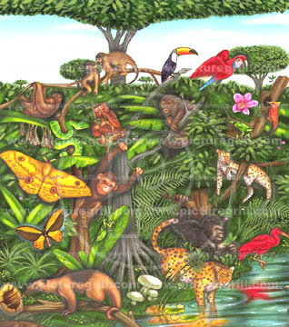 illustrator of jungle imagery