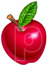 childrens book apple art