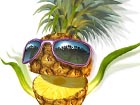 best-vegetable-illustratio