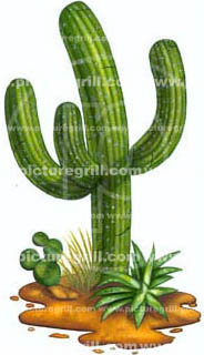 cactus-art