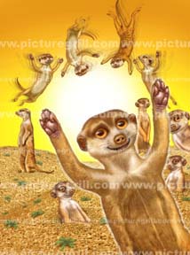 art and images of african animals as the marakeet