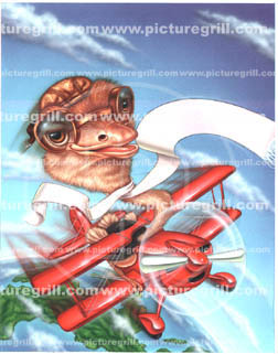 illustrator of ostrich art and illustrations