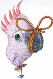 illustrations of parakeet art