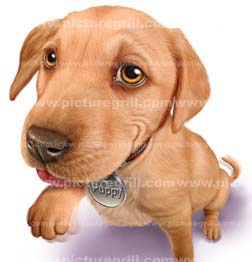 illustrator of puppy llustrations and art